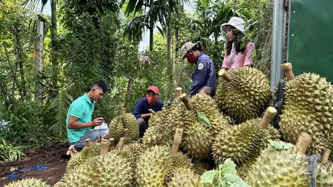 Đồng Nai hiện ưu tiên hàng đầu cho việc tạo các chuỗi liên kết trong sản xuất, sơ chế và chế biến sâu.