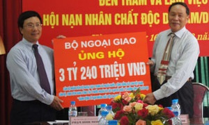 Phối hợp chặt chẽ trong cuộc đấu tranh đòi công lý cho nạn nhân chất độc da cam Việt Nam