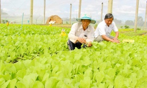 Xây dựng NTM ở huyện Thống Nhất (Đồng Nai): Mục tiêu quan trọng nhất là không ngừng nâng cao thu nhập và chất lượng cuộc sống của người dân