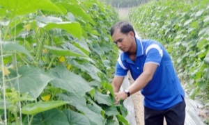 Xây dựng nông thôn mới gắn với phát triển nông nghiêp đô thị ở Nhơn Trạch (Đồng Nai)