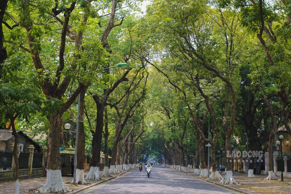 Ảnh minh hoạ. Ảnh: laodong.vn