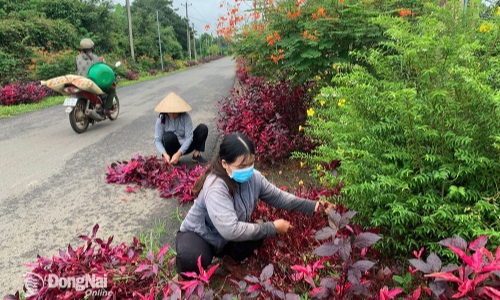 Đồng Nai: Ý Đảng - lòng Dân trong xây dựng “miền quê đáng sống”