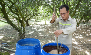 Đồng Nai:  Thúc đẩy đào tạo nghề trong lĩnh vực nông nghiệp, góp phần nâng cao thu nhập cho người dân