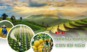 Kỳ 2: Những dư địa còn bỏ ngỏ