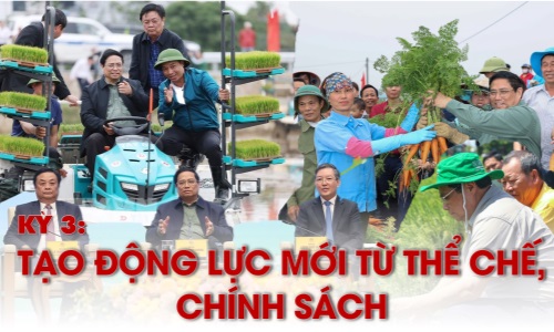 Kỳ 3: Tạo động lực mới từ thể chế, chính sách