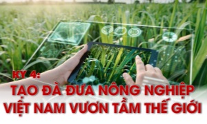 Kỳ 4: Tạo đà đưa nông nghiệp Việt Nam vươn tầm thế giới