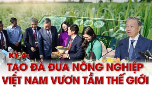 Kỳ 4: Tạo đà đưa nông nghiệp Việt Nam vươn tầm thế giới