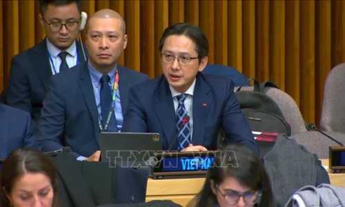 Việt Nam cam kết mạnh mẽ đóng góp vào nỗ lực cứu trợ nhân đạo của LHQ