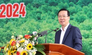 Chủ tịch nước phát động Tết trồng cây “Đời đời nhớ ơn Bác Hồ” tại Tuyên Quang