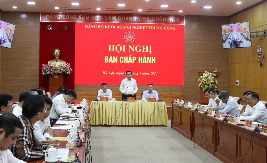 Đồng chí Nguyễn Long Hải, Ủy viên dự khuyết Trung ương Đảng, Bí thư Đảng ủy Khối Doanh nghiệp Trung ương phát biểu tại Hội nghị.