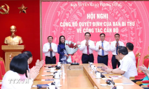Ban Bí thư bổ nhiệm đồng chí Đinh Thị Mai làm Phó Trưởng Ban Tuyên giáo Trung ương