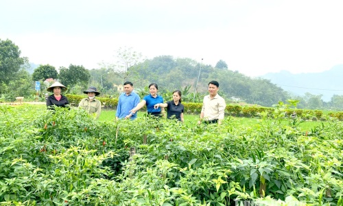 Phát huy vai trò đảng viên tại nơi cư trú