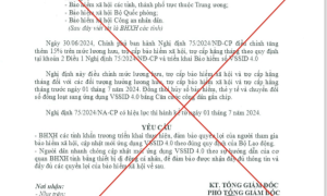 Cảnh báo về việc giả mạo văn bản của BHXH Việt Nam yêu cầu cập nhật mới ứng dụng VssID 4.0