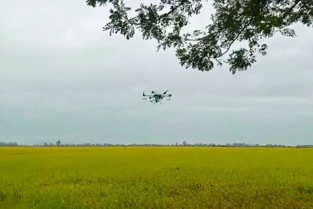 Mô hình chăm sóc lúa bằng Drone được áp dụng tại xã Thanh Sơn.