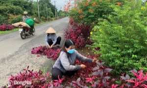 Hội Nông dân tỉnh Đồng Nai góp phần hiệu quả trong xây dựng nông thôn mới