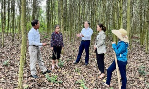 Thanh Hóa Phát huy vai trò người có uy tín trong vùng đồng bào dân tộc thiểu số