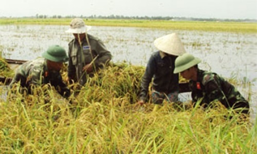 Thừa Thiên Huế: Xây dựng chi bộ quân sự “chủ động, thống nhất, trực tiếp, toàn diện”