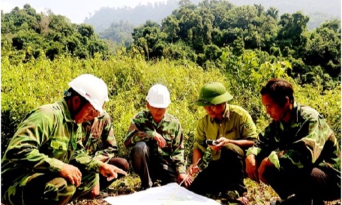 Lào Cai tăng cường sự lãnh đạo của Đảng đối với công tác quản lý, bảo vệ và phát triển rừng