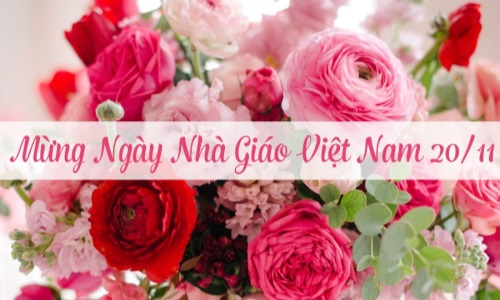 “Nghề giáo” - vinh quang và trọng trách