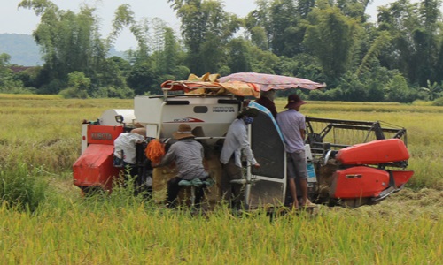 Một số kinh nghiệm lãnh đạo công tác dân vận của Tỉnh ủy Điện Biên