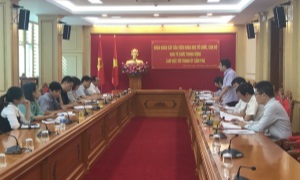 Hợp nhất cơ quan tổ chức - nội vụ cấp huyện tại Quảng Ninh: Những kết quả bước đầu