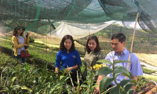 Bình Thuận xây dựng Đoàn Thanh niên vững mạnh, góp phần quan trọng trong công tác xây dựng Đảng