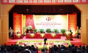 Hà Nội hoàn thành đại hội cấp trên cơ sở