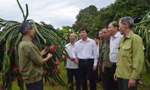 Huyện ủy Kỳ Sơn lãnh đạo xây dựng nông thôn mới