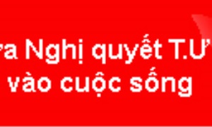 Thực hiện chủ trương thí điểm chế độ tiến cử, chế độ tập sự cán bộ lãnh đạo, quản lý