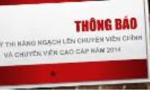 Về việc hoàn thiện bộ đề thi chính thức môn thi chuyên môn nghiệp vụ