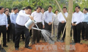 Lễ phát động "Tết trồng cây đời đời nhớ ơn Bác Hồ" Xuân Ất Mùi 2015