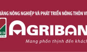 Đảng bộ Agribank tập trung lãnh đạo thực hiện Đề án tái cơ cấu ngân hàng giai đoạn 2013-2015
