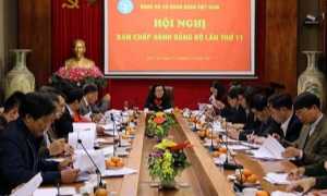 Hội nghị lần thứ 11 Ban Chấp hành Đảng bộ Cơ quan Bảo hiểm xã hội Việt Nam