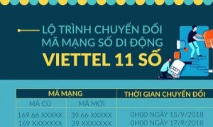 Viettel hoàn tất chuyển 52 triệu thuê bao 11 số về 10 số