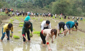 Kết quả bước đầu trong triển khai đề án đưa trí thức trẻ về cơ sở ở Hà Giang