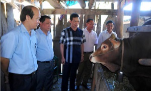 Hiệu quả thực hiện chủ trương Ủy viên Ban Thường vụ Tỉnh ủy trực tiếp theo dõi cơ sở ở Hà Giang