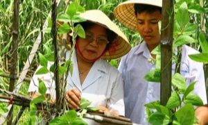 Bình đẳng giới trong nghiên cứu khoa học ở Việt Nam