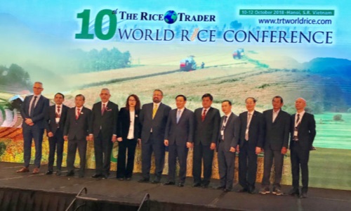 Hapro xúc tiến xuất khẩu tại Hội nghị Gạo Thế giới lần thứ 10 và Hội nghi Gạo Quốc tế Việt Nam năm 2018